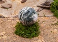 Orbicular ocean jasper sphere with crystallized vugs from Madagascar on moss, bryophyta and cork Royalty Free Stock Photo