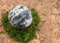 Orbicular ocean jasper sphere with crystallized vugs from Madagascar on moss, bryophyta and cork Royalty Free Stock Photo