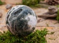 Orbicular ocean jasper sphere with crystallized vugs from Madagascar on moss, bryophyta and cork Royalty Free Stock Photo