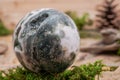 Orbicular ocean jasper sphere with crystallized vugs from Madagascar on moss, bryophyta and cork Royalty Free Stock Photo