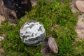 Orbicular ocean jasper sphere with crystallized vugs from Madagascar on moss, bryophyta and wood Royalty Free Stock Photo