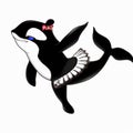 Orca killer whale dancing in tutu
