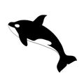 Orca killer whale. Illustration clip art, isolated on white background Royalty Free Stock Photo