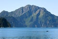 Orca Killer Whale with mountain in Kenai Fjords National Park Alaska Royalty Free Stock Photo