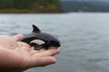 Orca killer whale tiny smallest animal in the world standing on human hand illustration generative ai