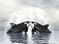 Orca love - 3D render