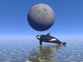 Orca and moon