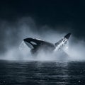 An orca (Orcinus orca) breaches the water\'s surface, creating a dramatic splash Royalty Free Stock Photo