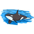 Orca Killer Whale logo illustration Royalty Free Stock Photo