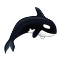 Orca vector illustration. Marine mammal. Killer whale. on white background.