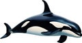 Orca, Watercolor painting of Killer Whale (Orca). AI-Generated.