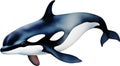 Orca, Watercolor painting of Killer Whale (Orca). AI-Generated.