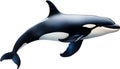 Orca, Watercolor painting of Killer Whale (Orca). AI-Generated.