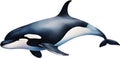 Orca, Watercolor painting of Killer Whale (Orca). AI-Generated.