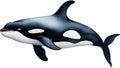 Orca, Watercolor painting of Killer Whale (Orca). AI-Generated.