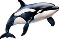 Orca, Watercolor painting of Killer Whale (Orca). AI-Generated.