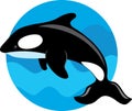 Orca Whale