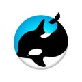 Orca whale illustration. Cute orca icon. Ocean animal emblems.