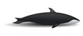 Orca whale mockup, realistic style Royalty Free Stock Photo