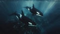 Orcas killer whales underwater in dark sea. Royalty Free Stock Photo