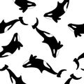 Orcas on white background seamless pattern. Vector illustration