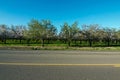 The orchard across the street Royalty Free Stock Photo