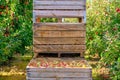 Orchard, apple harvest. Boxes with harvested apples