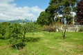 Orchard with apple, peach trees and villa in a sunny day, Italy