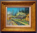 Orchard Bordered by Cypresses, Van Gogh
