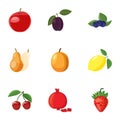 Orchard fruits icons set, cartoon style