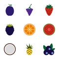 Orchard fruits icons set, flat style