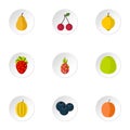 Orchard fruits icons set, flat style