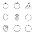 Orchard fruits icons set, outline style
