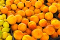 Orchard market display of boxes filled with fresh picked yellow peaches Royalty Free Stock Photo