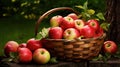 orchard natural apple fruit In the second photograph