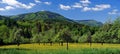 Orchard with nice panorama of Moravskoslezske Beskydy mountains Royalty Free Stock Photo