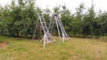 Orchard three apple metallic ladders