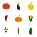 Orchard vegetables icons set, flat style