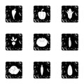 Orchard vegetables icons set, grunge style