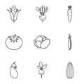 Orchard vegetables icons set, outline style