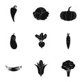 Orchard vegetables icons set, simple style