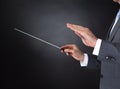 Orchestra conductor holding baton Royalty Free Stock Photo