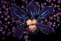 Orchid art in neon lights Royalty Free Stock Photo