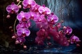 orchid as a natural multicolored background, floral backdrop, tropical exotic flowers.