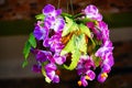 an orchid bouquet Royalty Free Stock Photo