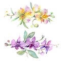Orchid bouquets floral botanical flowers. Watercolor background illustration set. Isolated bouquet illustration element. Royalty Free Stock Photo