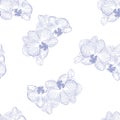 Orchid branch. hand drawn.seamless pattern.