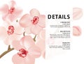 Orchid branch realistic illustration. Vector nature poster, romantic postcard, soft pink flower bloom. Save the date floral