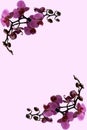 Orchid Card Design
