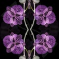 Orchid, Close up and kaleidoscope